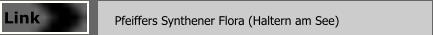 Pfeiffers Synthener Flora (Haltern am See)  Link